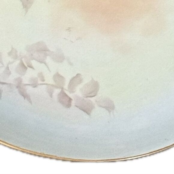 Rare Vintage Z.S. & C. Bavaria Hand-Painted
Collector's Plate - Picture 3 of 6